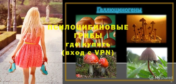 MESCALINE Алзамай