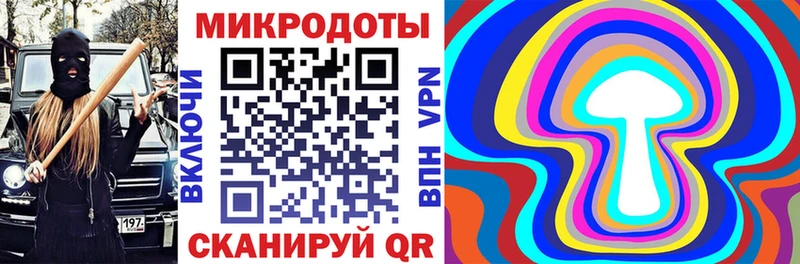 Галлюциногенные грибы Psilocybine cubensis  omg вход  Калач 
